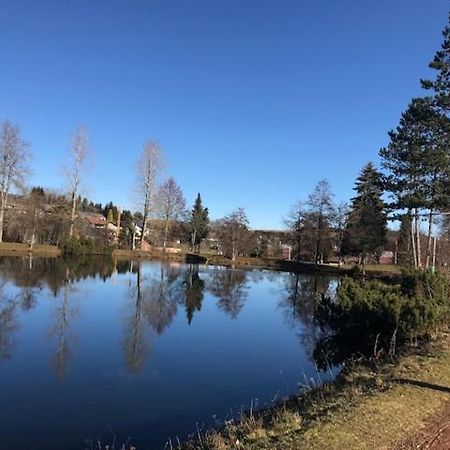 Schoene Ferienwohnung Im Suedschwarzwald Herrischried 外观 照片