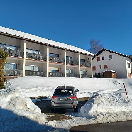 Schoene Ferienwohnung Im Suedschwarzwald Herrischried 外观 照片